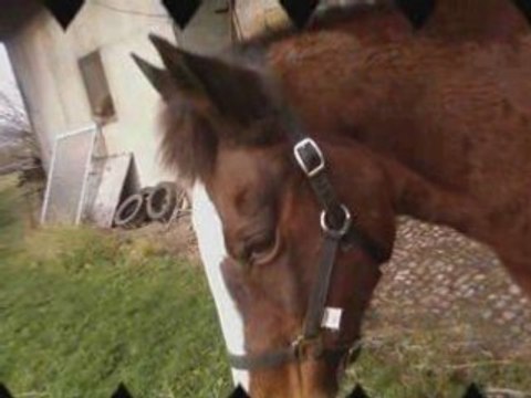 Udiine & MOii fOrt [ever] ♥