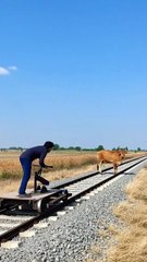 Cow on the Tracks! Close Call While Driving a Handcar 🚂🐄