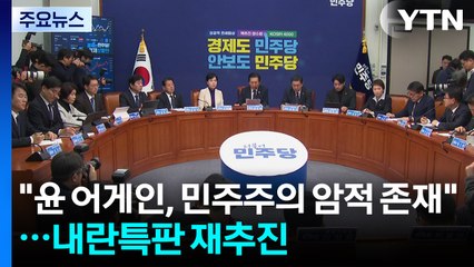 민주 "윤 어게인, 민주주의 암적 존재"...내란특판 재추진 / YTN