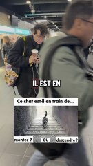 Mets ta réponse 👇 followYouTube : sophieonly1Snap : Sophie_75000#quiz