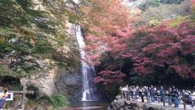箕面山の紅葉2025