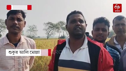 দুর্গাপুজোর আগে থেকে নিখোঁজ, দু'মাস পর ধানক্ষেতে উদ্ধার যুবকের কঙ্কাল