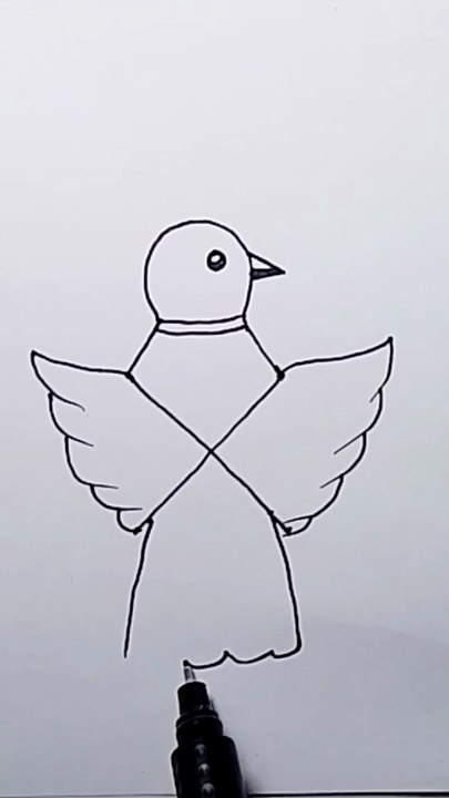 Easy bird drawing