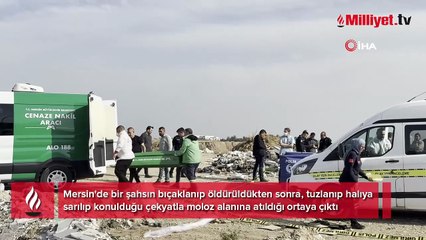 Mersin'de tuzlanmış ceset bulundu! Bıçaklanıp halıya sarılmış