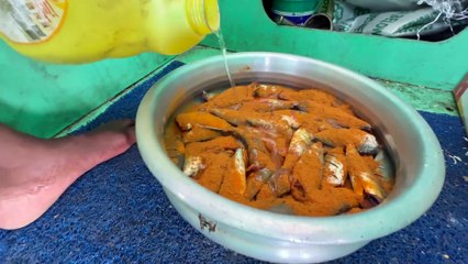 Legends of the Deep – Gulf Fishing at Its Finest