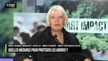 SMART IMPACT - Emission du lundi 24 novembre