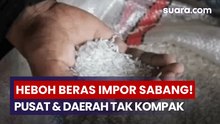 250 Ton Beras Impor Hebohkan Sabang: Pusat dan Daerah Tidak Sejalan