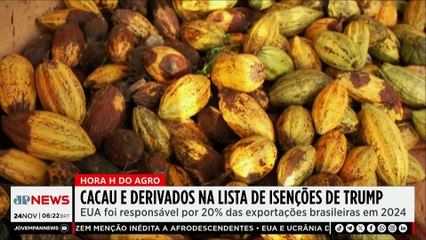 Mariana Grilli: Retirada de tarifaço beneficia cacau e derivados