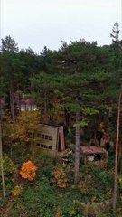 À moins de 2h de Lille, tu trouves des eco-lodges très design en pleine forêt. 🌳 🍂😌📍Bain de Forêt 7 allée des fauvettes62152 Hardelot plage