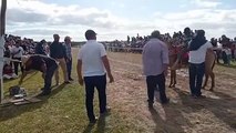Raid para caballos de la zona y Raid de petizos - Pista Recalde - Fraile Muerto 23/11/2025