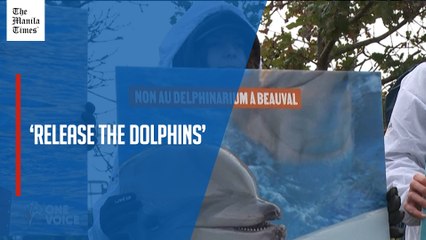 Animal-rights activists protest dolphin transfer to French zoo