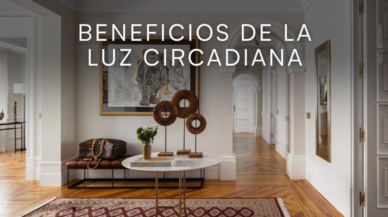 Beneficios de la luz circadiana