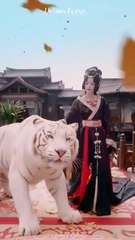 scorned beauty desperate men chinese drama