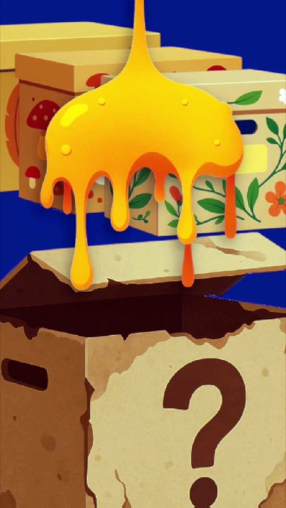 Le blob apprend... sans cerveau ! #blob #animaux #science #nature #humour