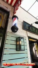 Still the Boss, Just Hit the Books ｜ DramaWave