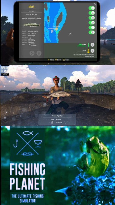 How to catch African Tigerfish at Congo River | Fishing Planet