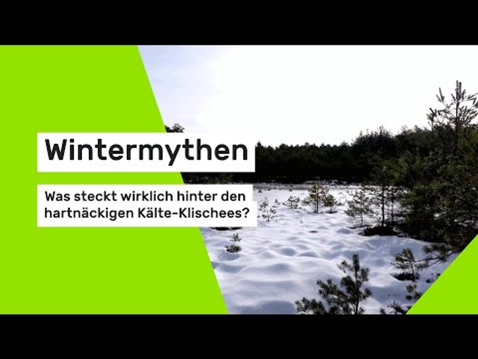 Wintermythen im Check: Was steckt wirklich hinter den hartnäckigen Kälte-Klischees?
