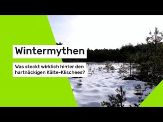 Wintermythen im Check: Was steckt wirklich hinter den hartnäckigen Kälte-Klischees?
