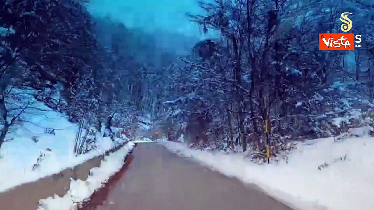 Mezzi di Anas a lavoro sulle strade calabresi per rimuovere neve e ghiaccio