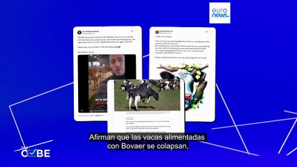 ¿Es seguro el Bovaer? Dinamarca examina denuncias sobre vacas enfermas pese al aval científico