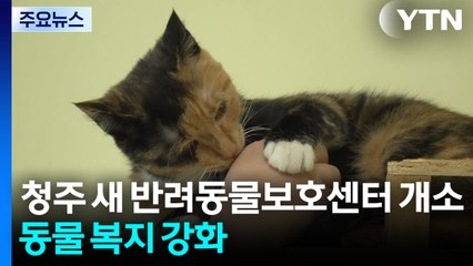 충북 청주 새 반려동물보호센터 개소...동물 복지 강화 / YTN