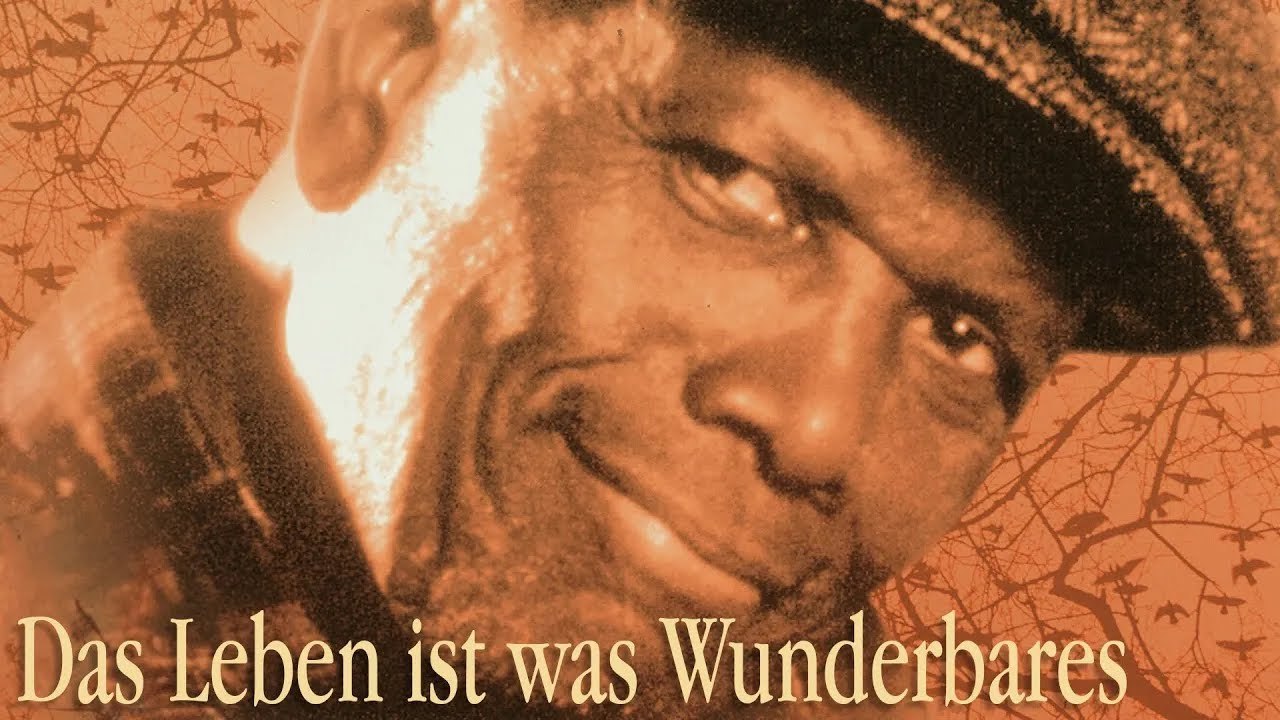 Das leben ist etwas wunderbares | drama mit sidney poitier (oscar-legende) & dianne wiest | ganzer film