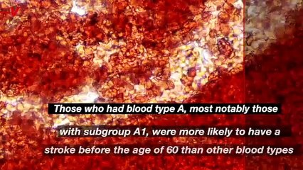 Study Links One Blood Type to Increased Stroke Risk Before 60.mp4
