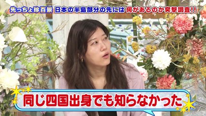 ナニコレ珍百景2025年日11月23日日本の気になる先っちょ大調査＆時間が貯まる!-田舎町の珍システム