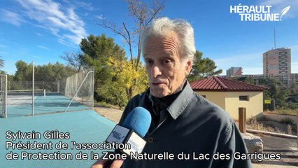 Montpellier : les tennis des Hauts de Massane menacés, les riverains se mobilisent 