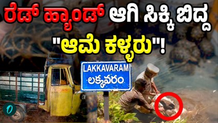 Illegal Wildlife Trafficking: 248 ಆಮೆಗಳನ್ನು ಕಳ್ಳ ಸಾಗಣೆ ಮಾಡುತ್ತಿದ್ದವರು ಅಂದರ್!‌
