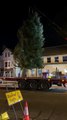 Delivery of Wellington's town centre Christmas tree, courtesy of Langford Lakes.