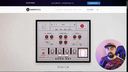 Легендарное ленточное эхо Echo Cat от Wavesfactory — обзор и возможности