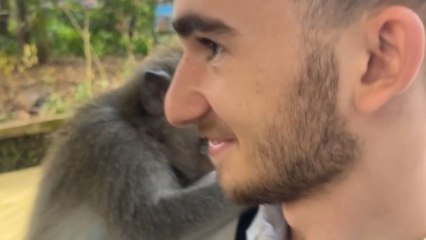 Monkey sits calmly on a boy’s arm before turning aggressive out of nowhere