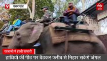 पर्यटकों को सैर कराएंगी 'राधा' और 'रंगीली', राजाजी के चीला में हाथी सफारी शुरू, इतना रहेगा शुल्क