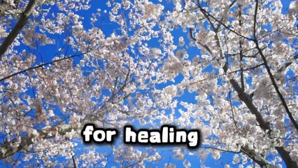 “The Truth You Must Face About Your Mother to Finally Heal | Emotional Self-Growth”