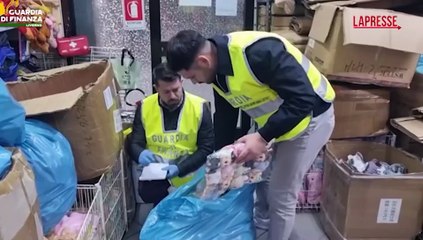 Livorno, Labubu contraffatti: le immagini del maxi sequestro a Cecina e Pisa