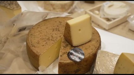 Dal latte di cammella al Giappone: a Berna il mondiale dei formaggi