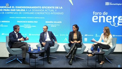 Foro de energía: Cómo abordar el dimensionamiento eficiente de la red