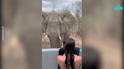 Elephant Comes to Says Hello to Woman Showering