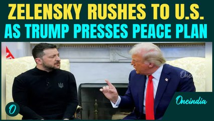 Zelensky to BEG Trump for MERCY? Ukraine President Rushes to U.S | Kyiv to GIVE-UP Land to Russia?