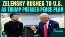Zelensky to BEG Trump for MERCY? Ukraine President Rushes to U.S | Kyiv to GIVE-UP Land to Russia?