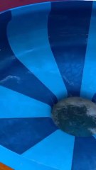 Vamos a la Piscina 🎉🎉🎉