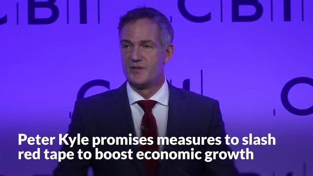Peter Kyle promises measures to slash red tape for firms in the hope of boosting economic growth