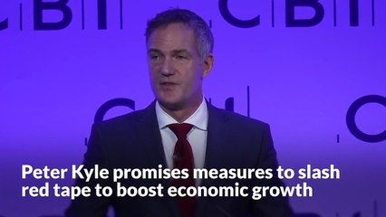 Peter Kyle promises measures to slash red tape for firms in the hope of boosting economic growth