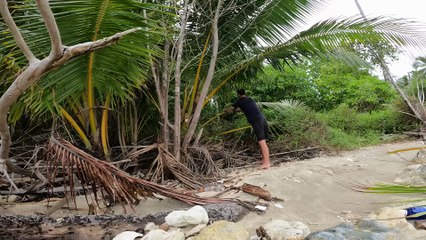 7 days Solo Island Survival - No Food, Water or Shelter