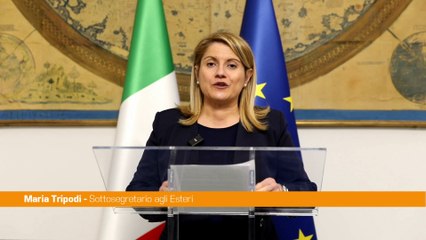 Tripodi "Anno culturale Romania-Italia un ponte che attraversa le nostre storie"