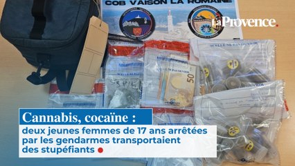 Cannabis, cocaïne : deux jeunes femmes de 17 ans arrêtées par les gendarmes transportaient des stupéfiants