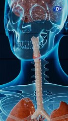 La FDA anuncia cambios sobre la terapia hormonal. ¿Qué debes saber al respecto? | La buena noticia