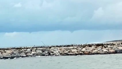 Porto di Livorno, Darsena Europa verso Tirrenia 6 trombe marine