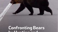 Confronting Bears by  Hunting and Serving Them